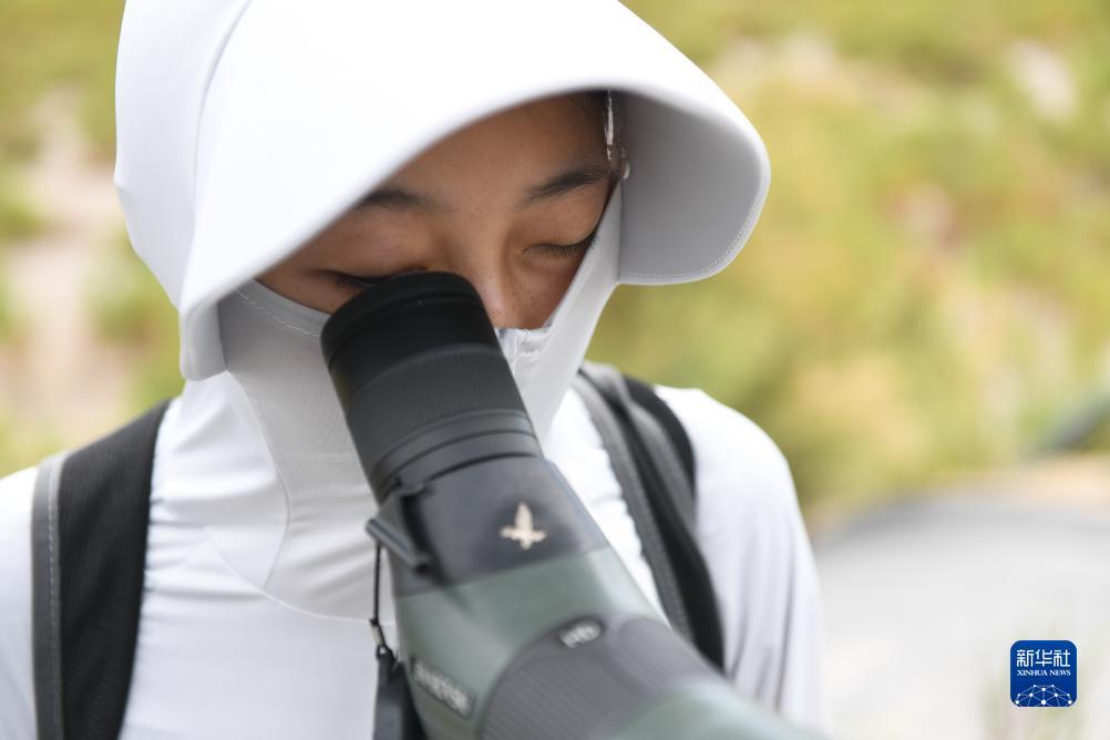 姚记捕鱼pc版官网